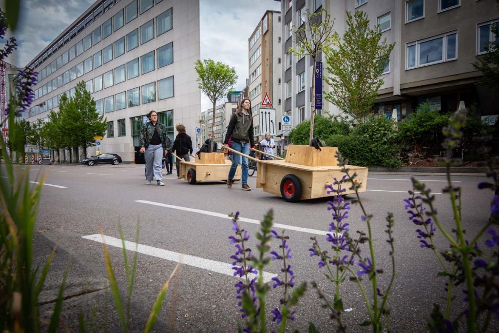 Wunderbaumallee schlägt Wurzeln in Stuttgart: Bäume auf der ersten Wanderung in Stuttgart