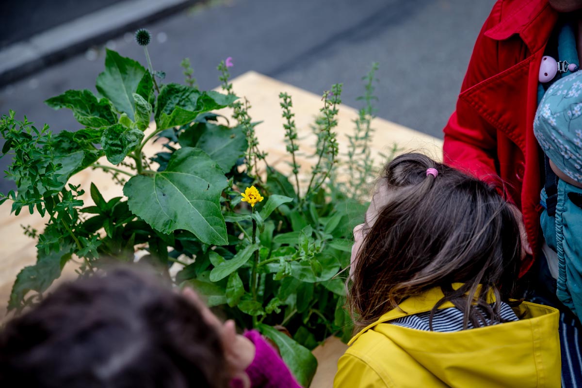 Am 06.06.2019 fand der Umzug der Stuttgarter Wanderbaumallee von der Augustenstrasse in die Forststrasse statt.