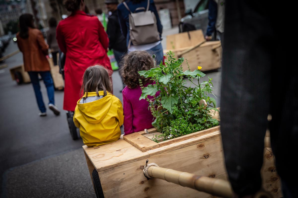 Am 06.06.2019 fand der Umzug der Stuttgarter Wanderbaumallee von der Augustenstrasse in die Forststrasse statt.