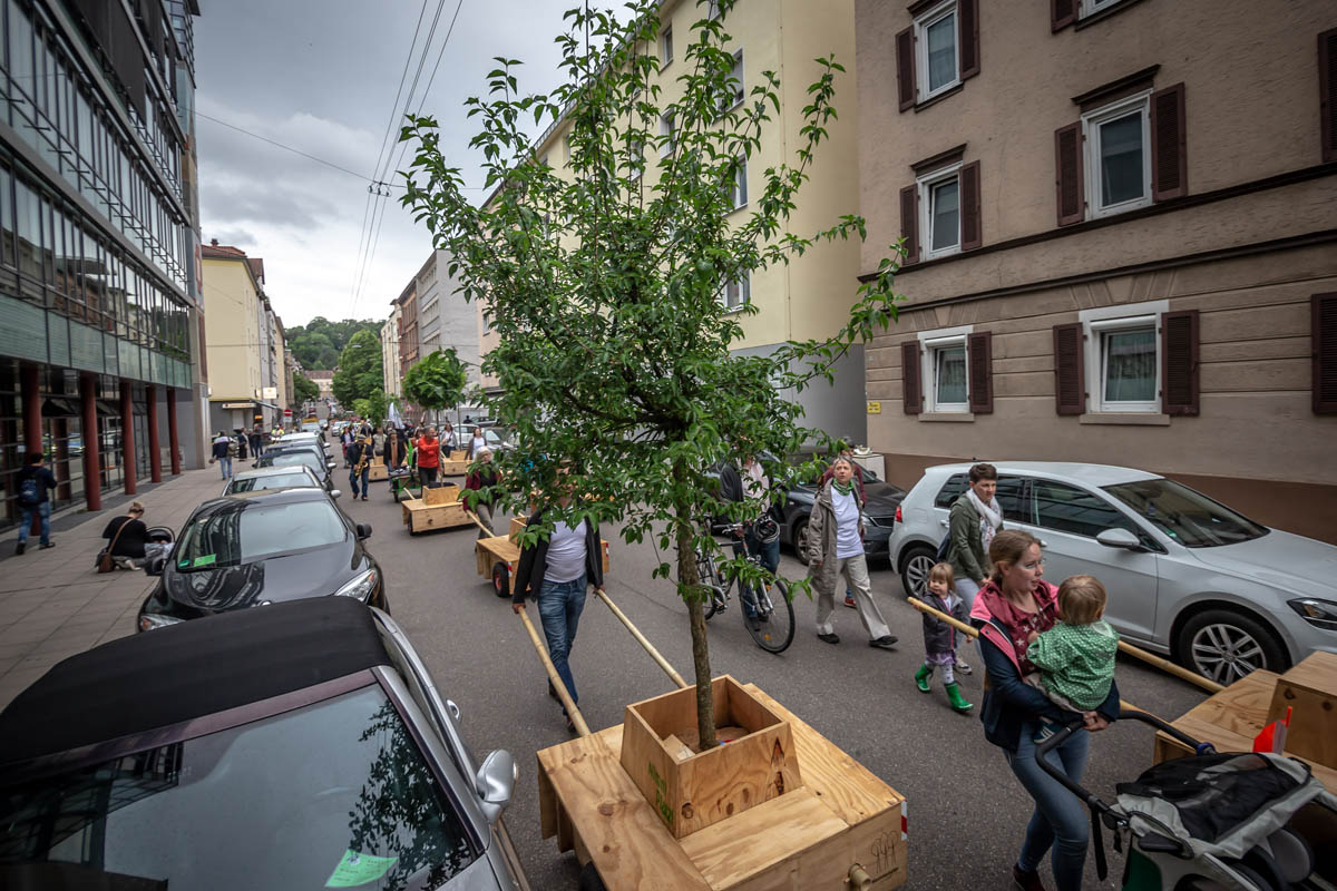 Am 06.06.2019 fand der Umzug der Stuttgarter Wanderbaumallee von der Augustenstrasse in die Forststrasse statt.