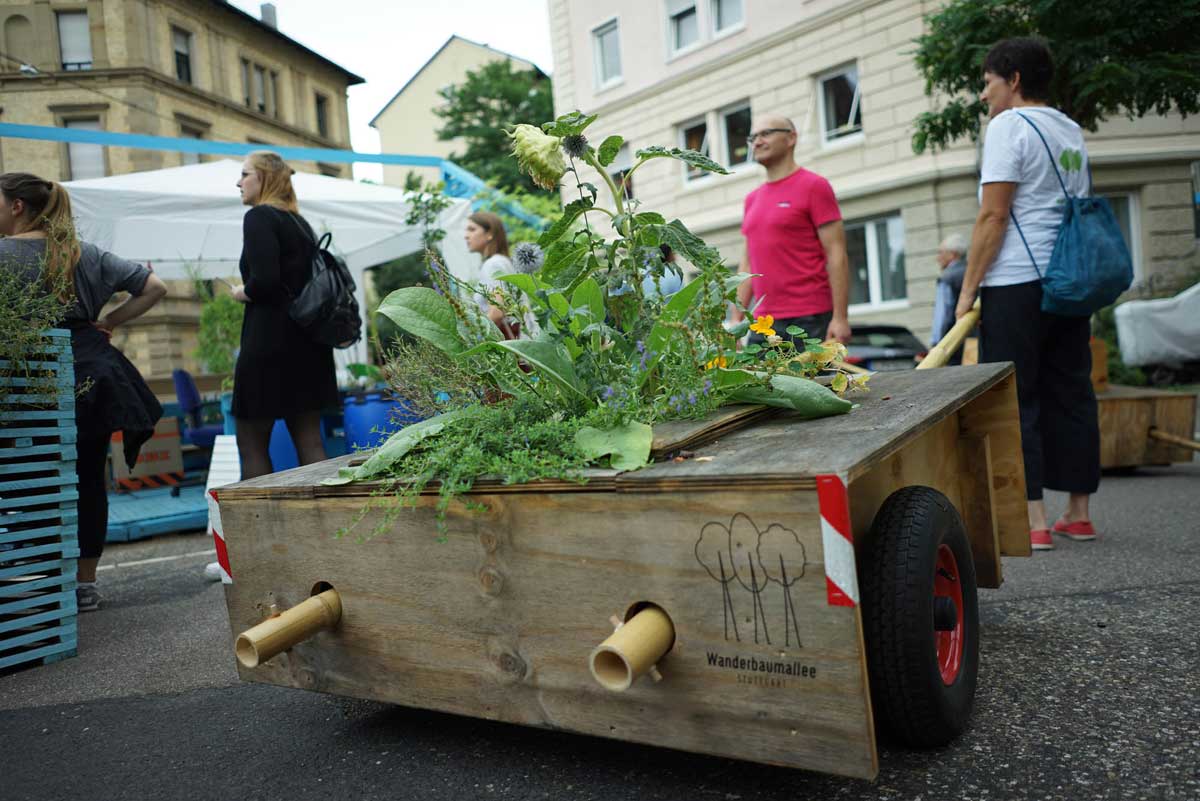 wanderbauallee170819-3