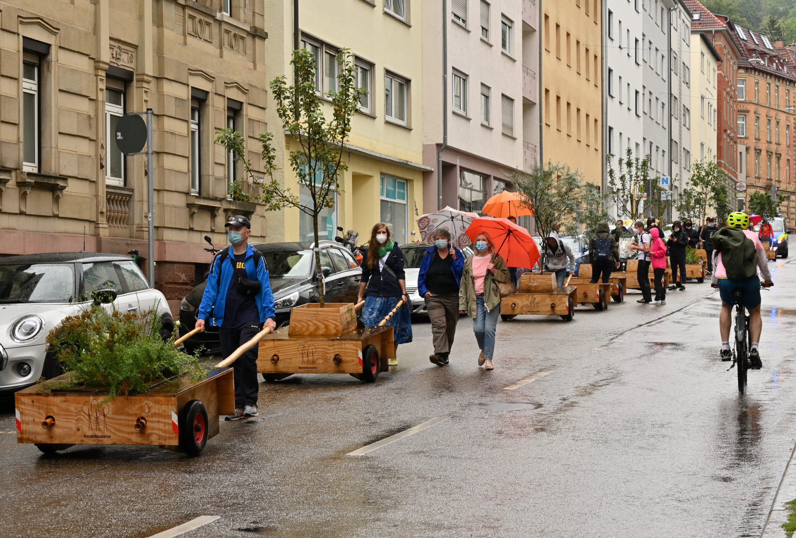 Baumwanderung_Traubenstraße_0806